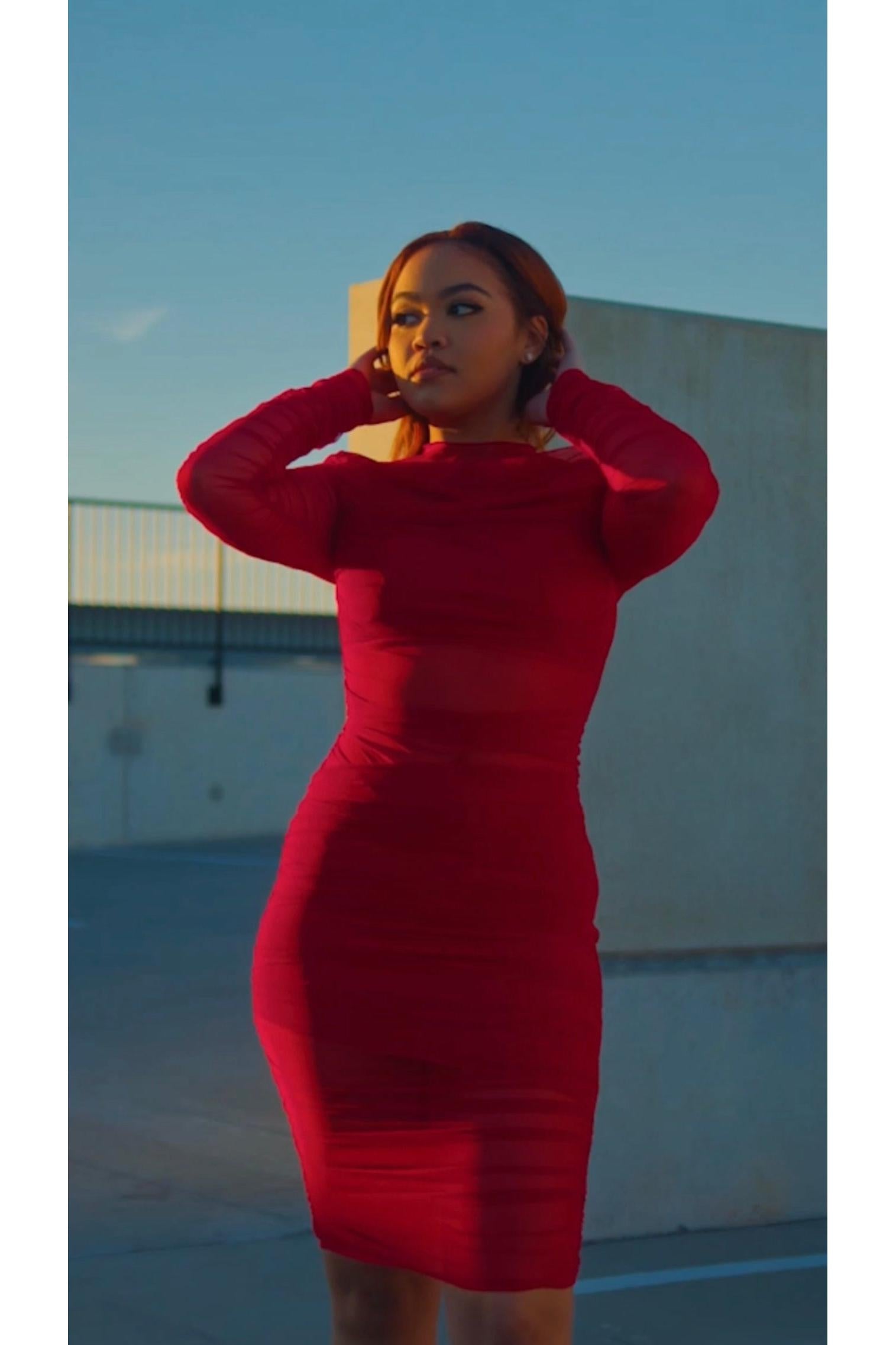 Call For Motivation Semi Sheer Dress